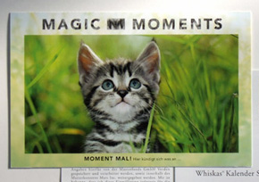 Magic Moments